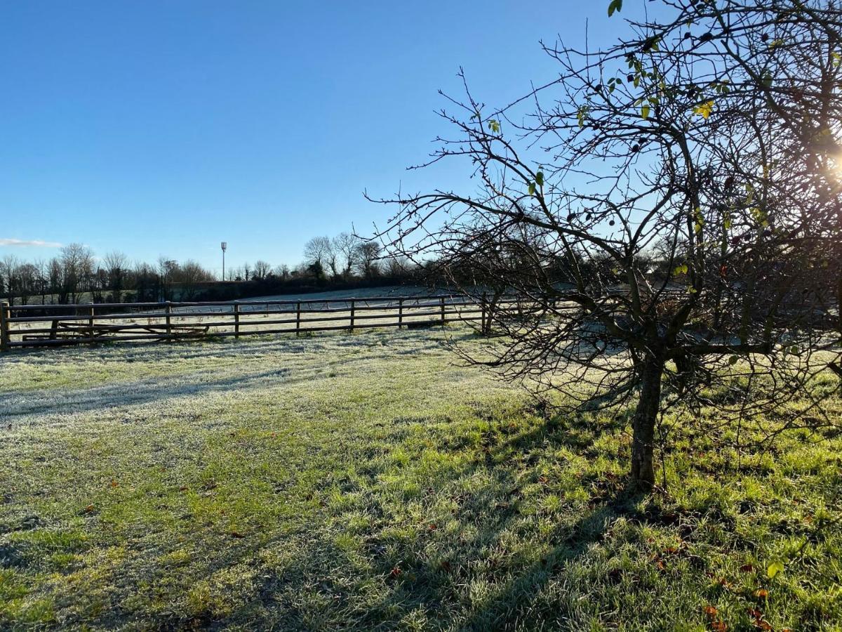 Greenway Farm Bed & Breakfast Bridgwater Luaran gambar