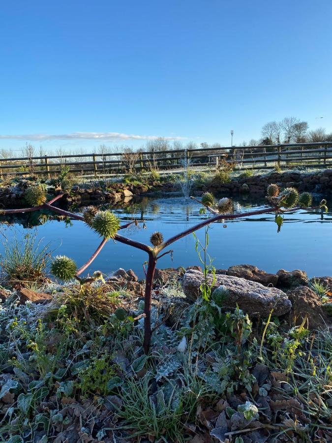 Greenway Farm Bed & Breakfast Bridgwater Luaran gambar